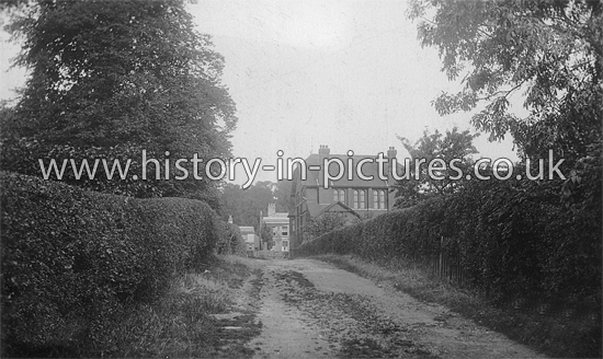 Bensons Lane, Ongar, Essex. c.1906